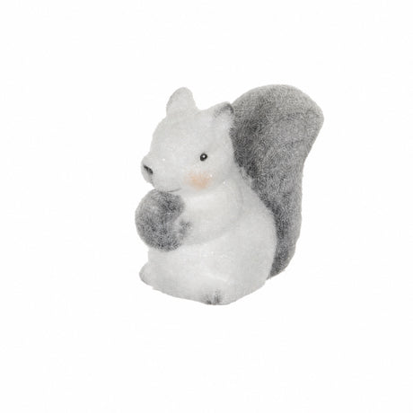 White squirrel