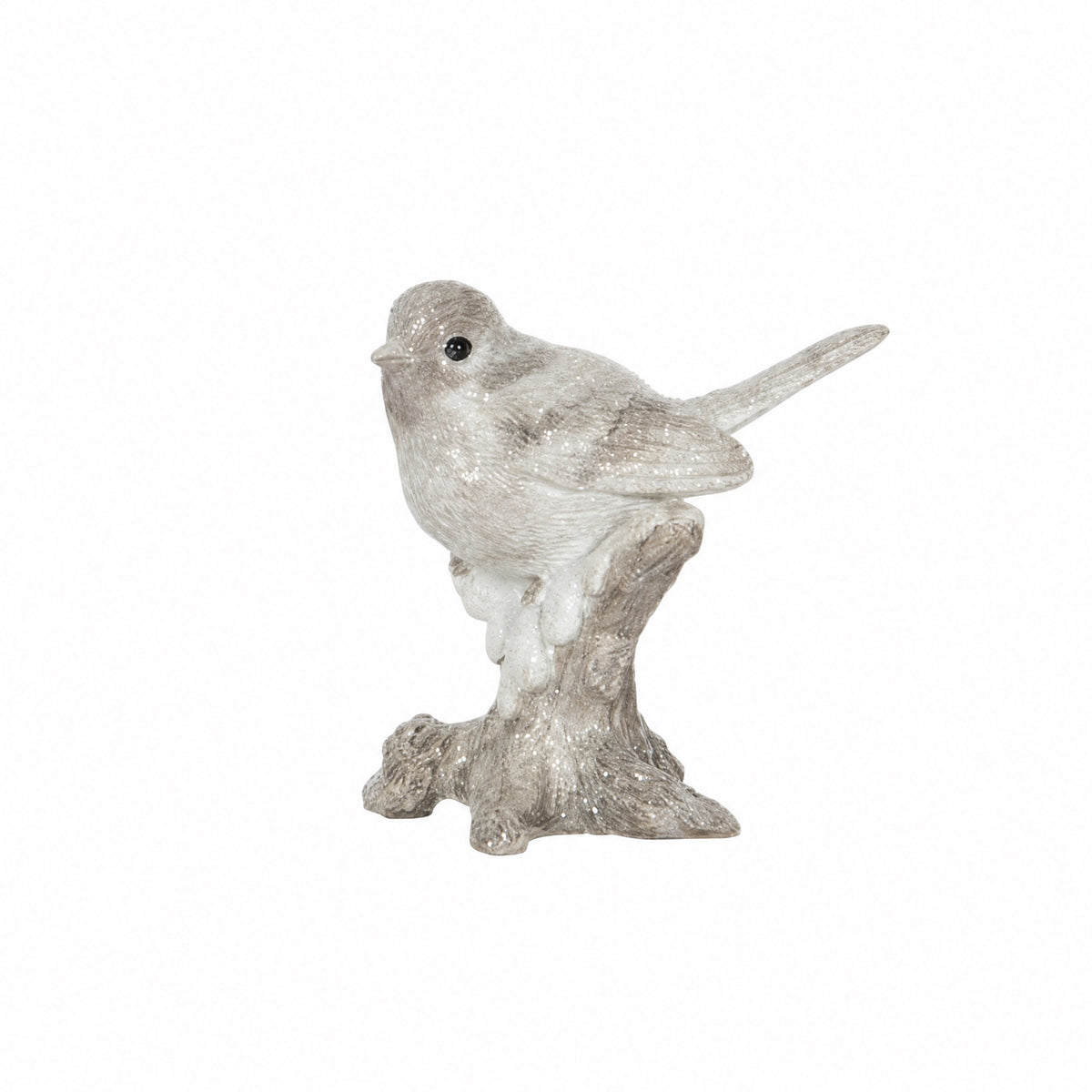 Bird on tree root