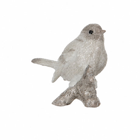Bird on tree root