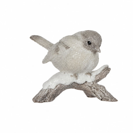 Bird on tree root
