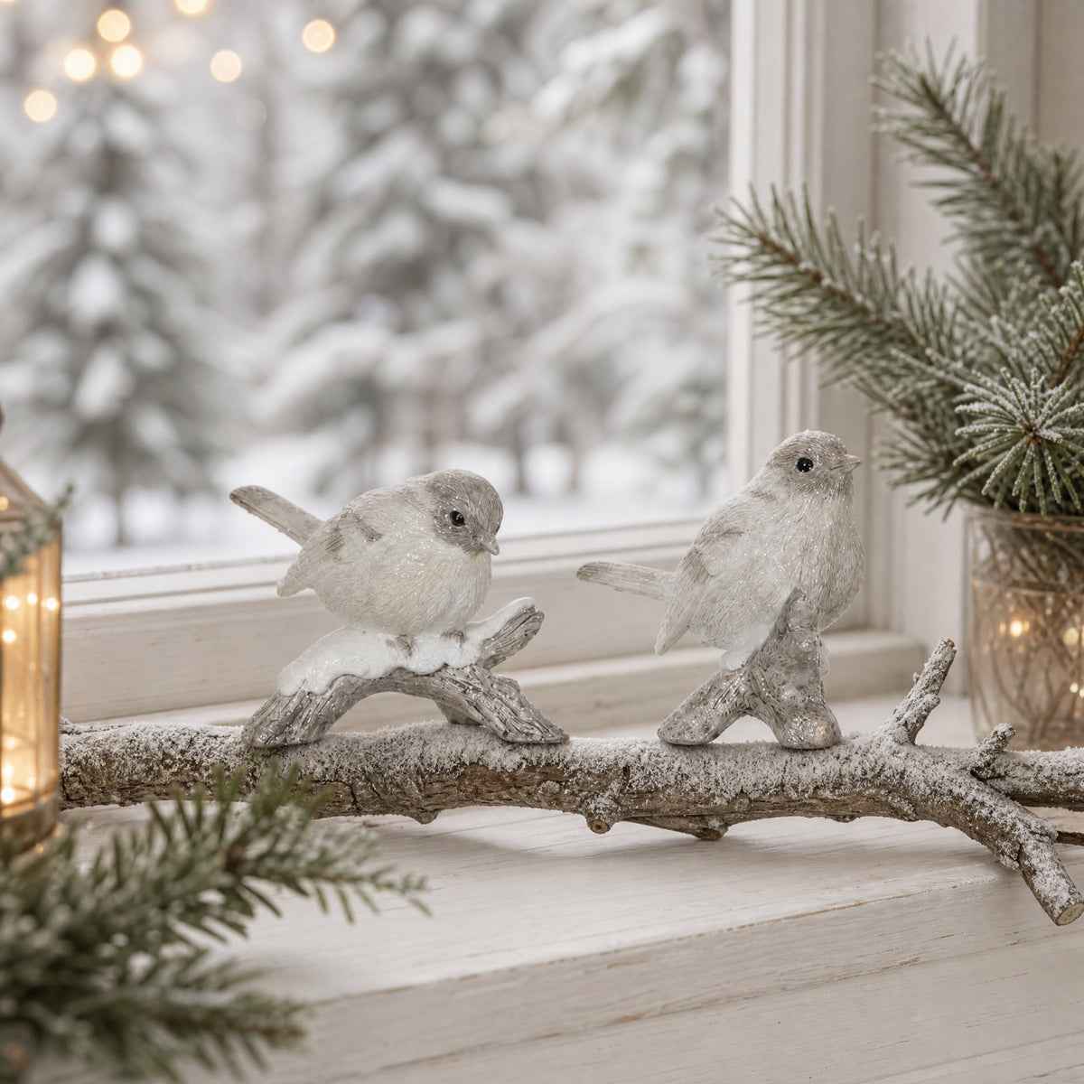 Bird on tree root