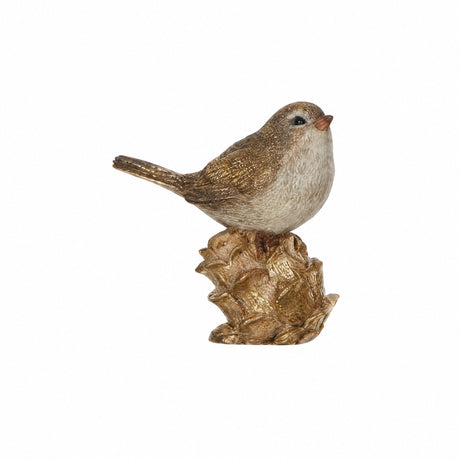 Birds with forest nuts