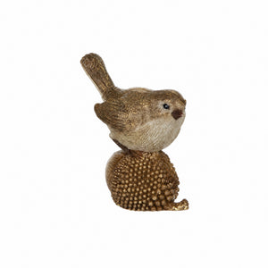 Birds with forest nuts