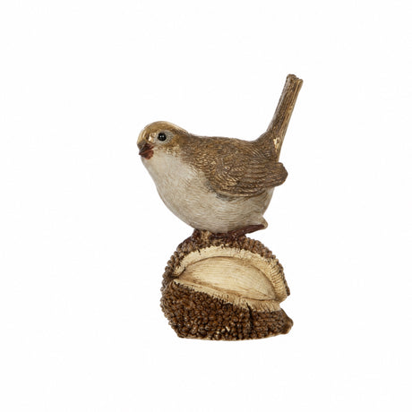 Birds with forest nuts