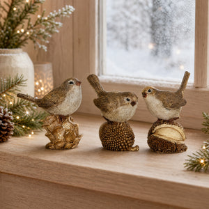 Birds with forest nuts