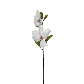 Magnolia hvid