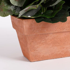 Pelargonier i altankasse hvide