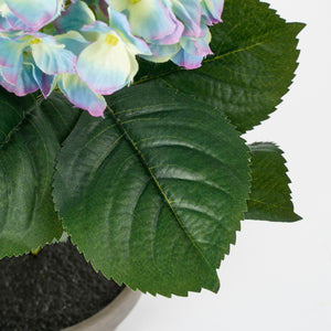 Kuntige grønne blade på hortensia fra Mica Decorations