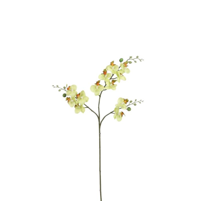 Phalaenopsis orkidéstilk gulgrøn kunstig 75 cm høj