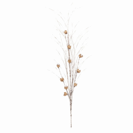 Brown onion grass