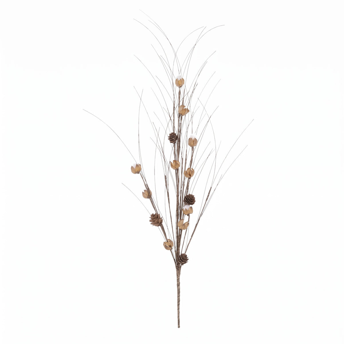 Brown onion grass