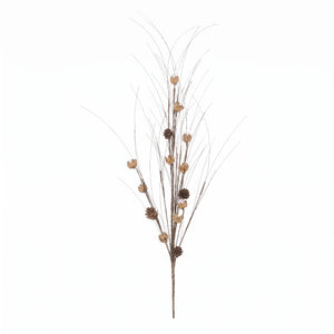 Brown onion grass