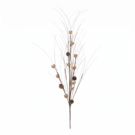 Brown onion grass