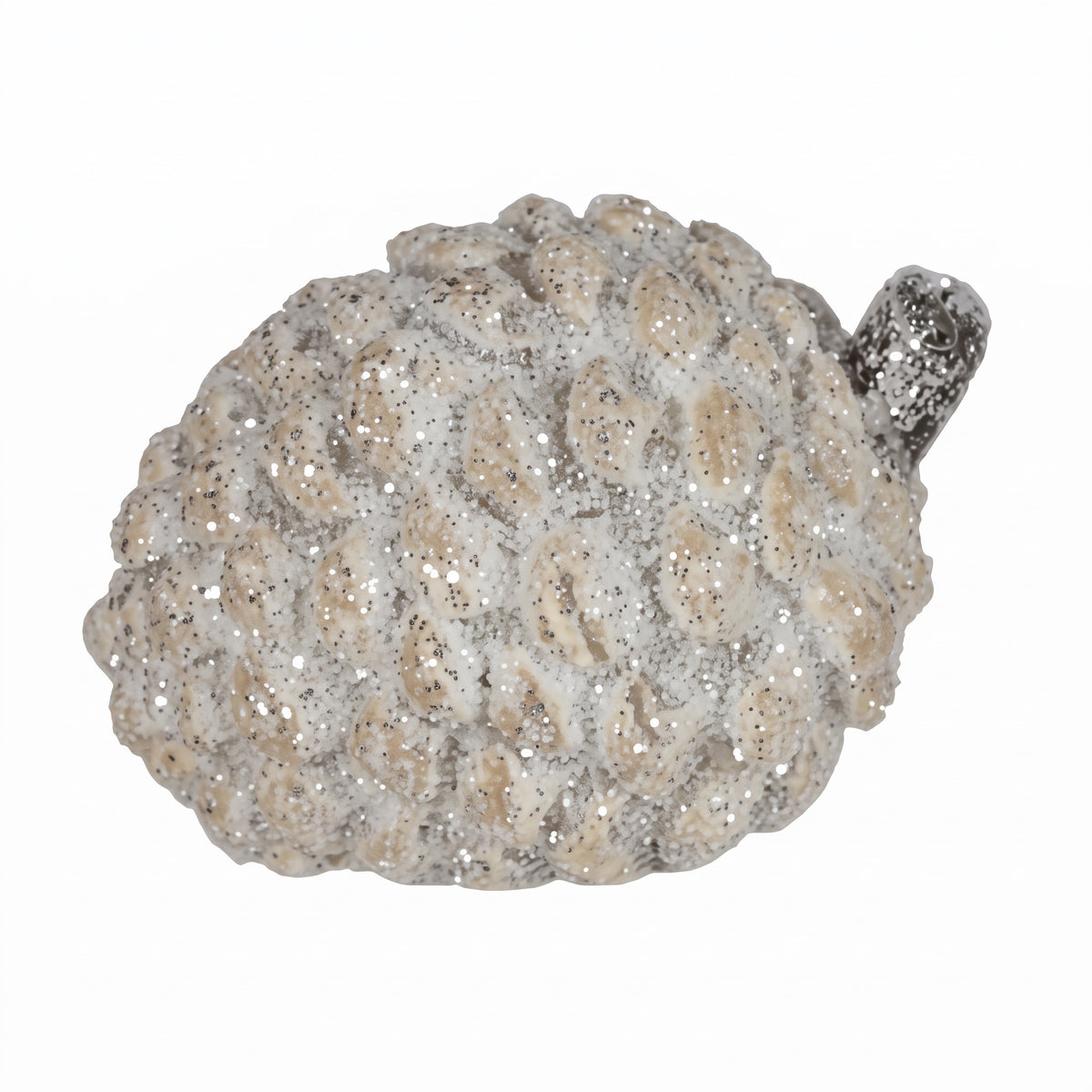 Cone or acorn