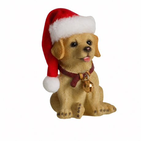 Christmas dog with soft hat