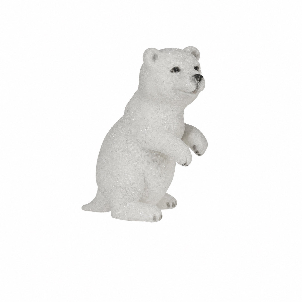 Polar bear