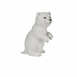 Polar bear
