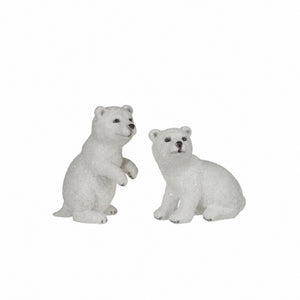Polar bear