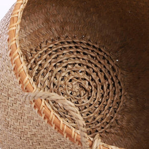 Nærbillede af bunden af Safari kurve i lyst søgræs