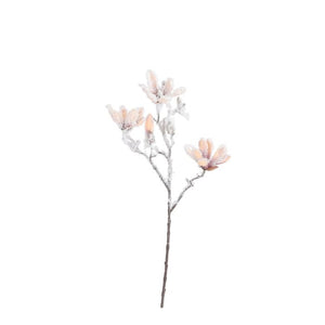 Magnolia beige