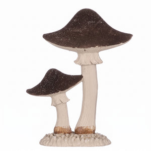 Brown mushrooms