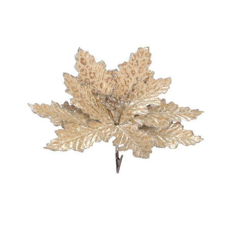 Julestjerne champagne med klips