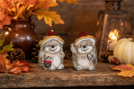 Hedgehog with mushroom hat