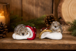Hedgehog on mushroom