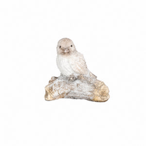 Winter bird on tree trunk