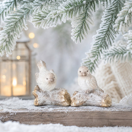 Winter bird on tree trunk