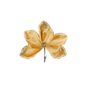 Magnolia med klips guld