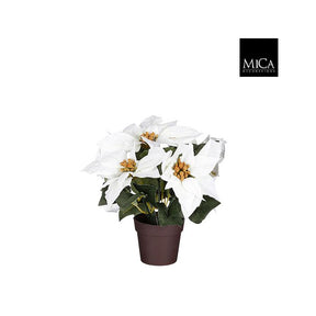 Hvid julestjerne 30 cm høj