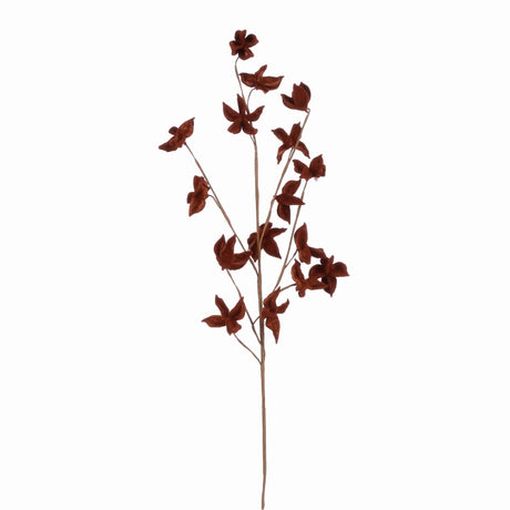 Autumn branch with coloured leaves