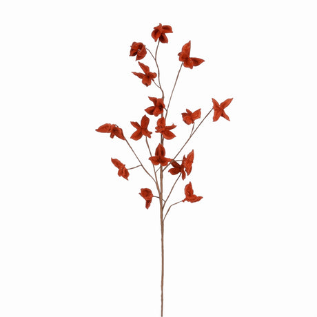 Autumn branch with coloured leaves