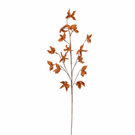 Autumn branch with coloured leaves