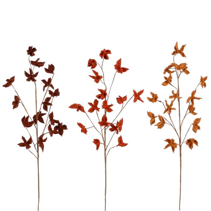 Efterårsgren med farvede blade