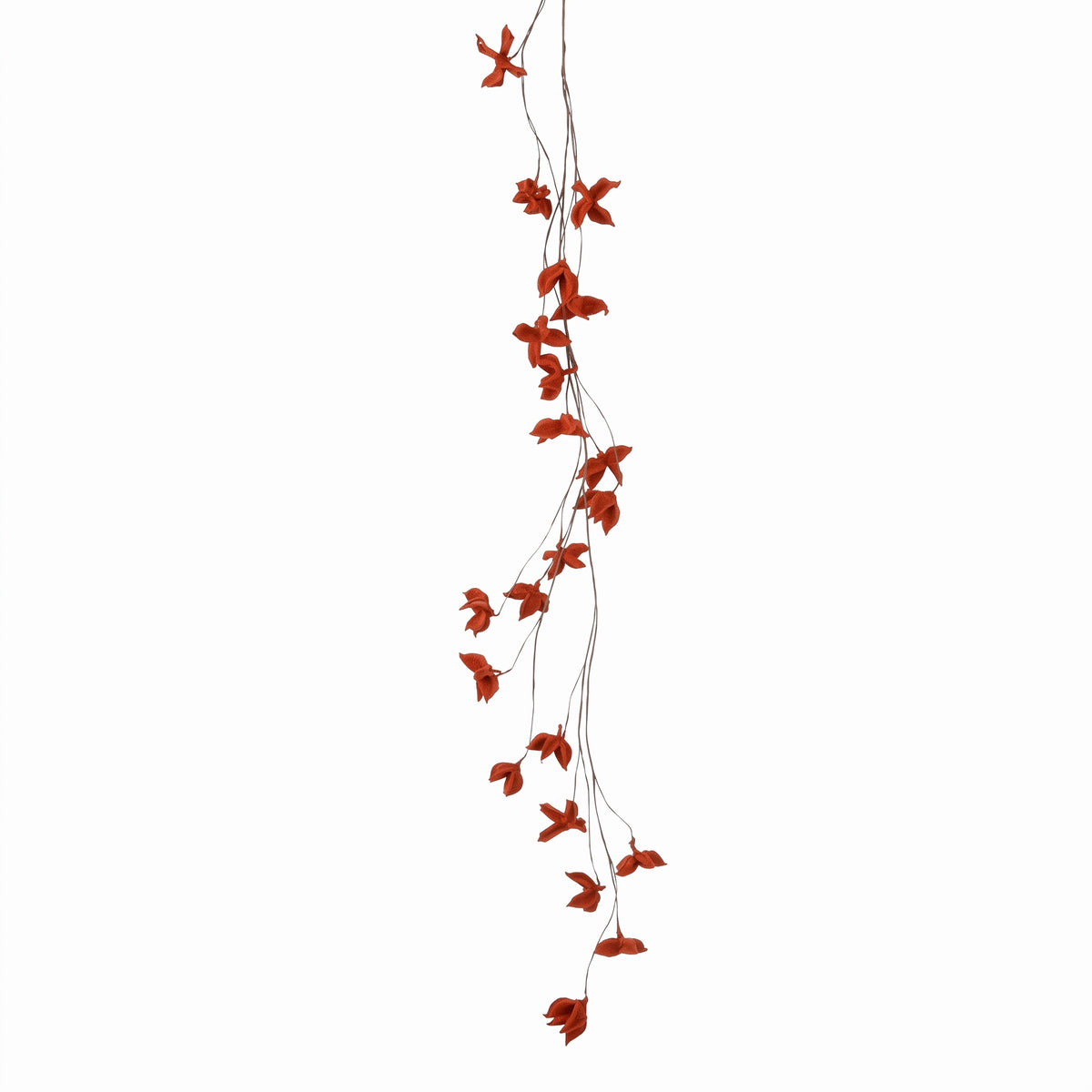 Leaf vine in autumn colors