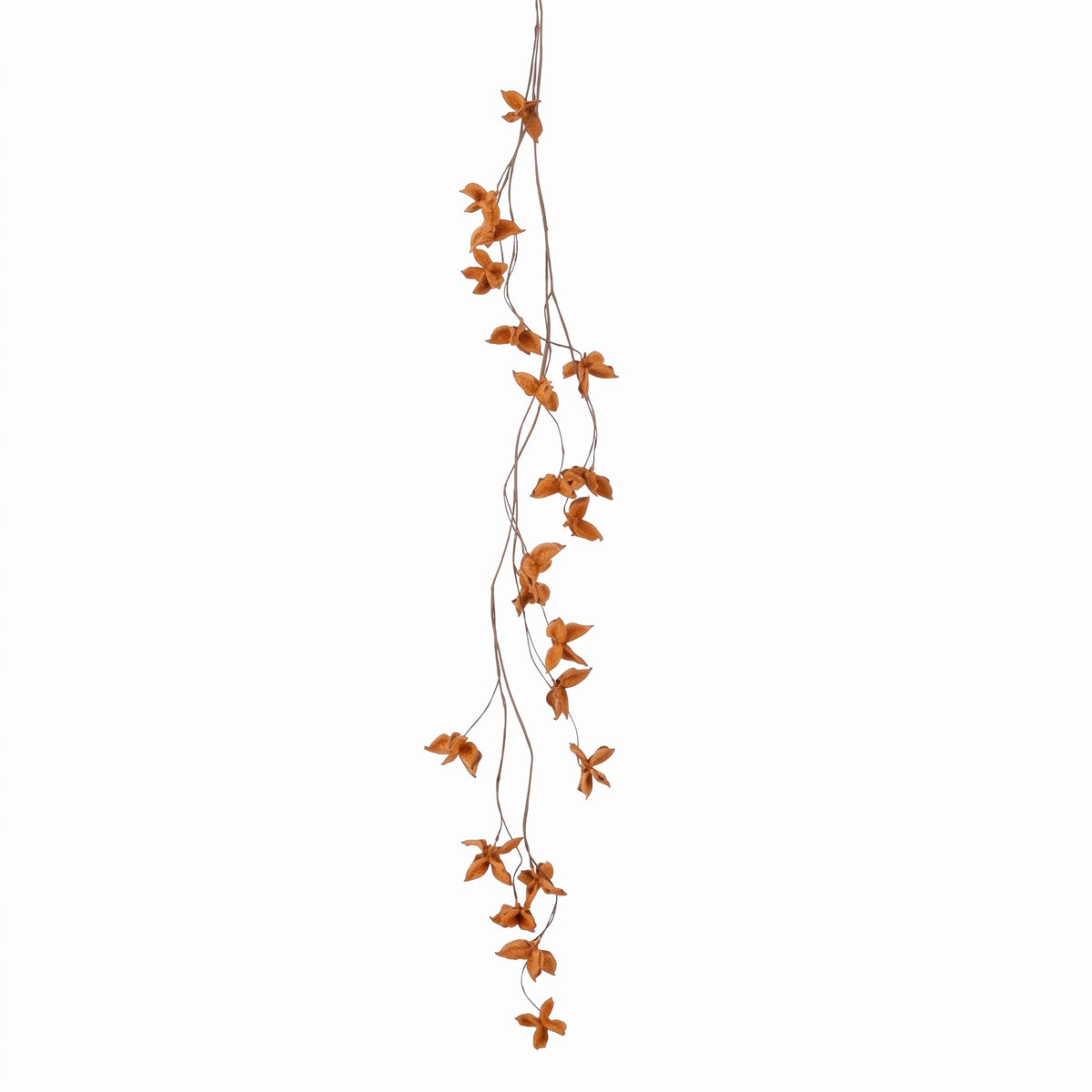 Leaf vine in autumn colors