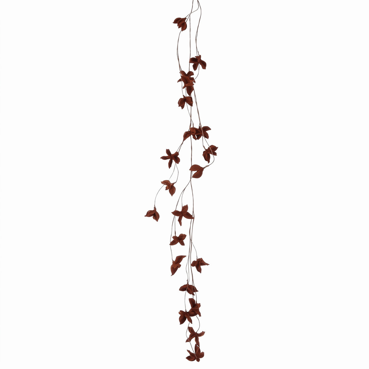 Leaf vine in autumn colors