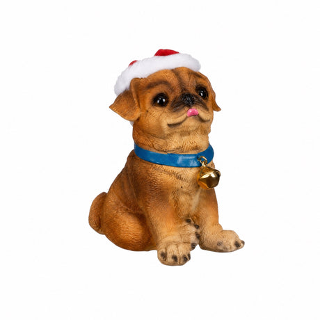 Dogs with hats and collars
