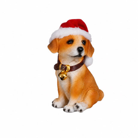 Dogs with hats and collars