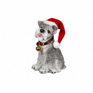 Dogs with hats and collars