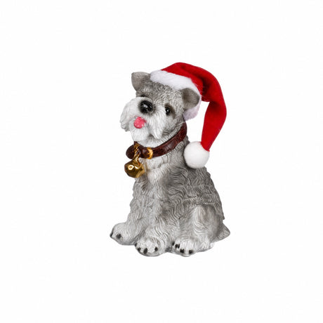 Dogs with hats and collars
