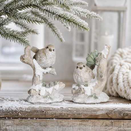 Winter birds
