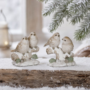 Pair of winter birds