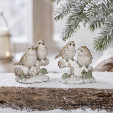 Pair of winter birds