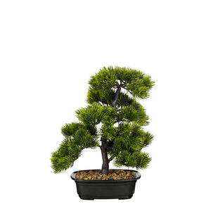 Bonsai træ 33 cm højt