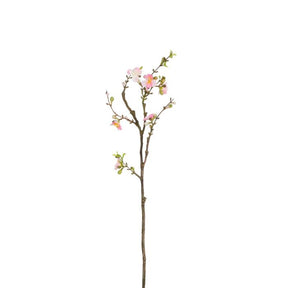 Kirsebærgren 61 cm lang