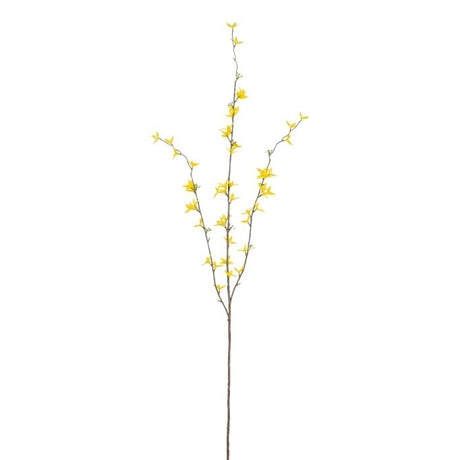 Forsythiagren 97 cm lang