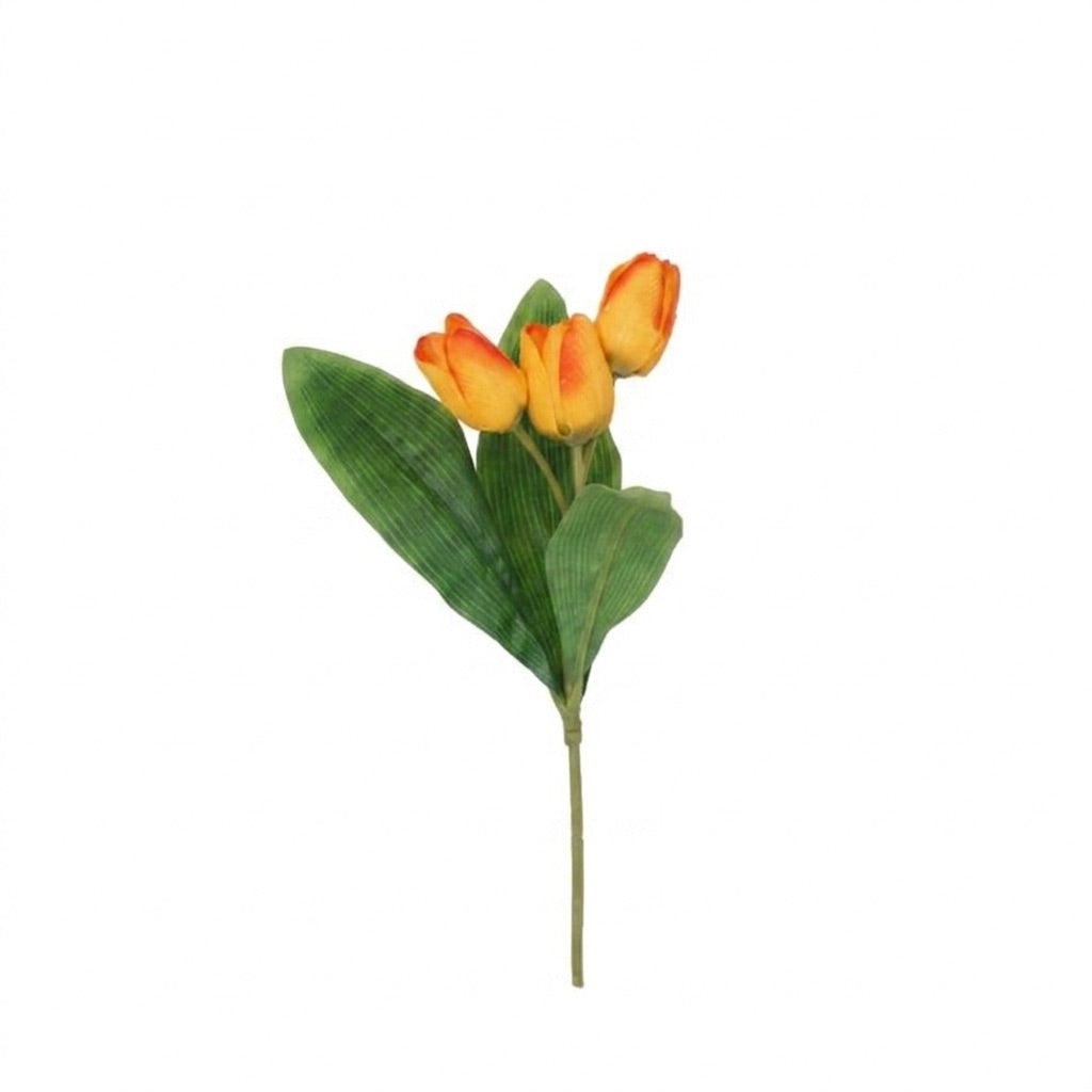 Tulip stem with 3 flowers
